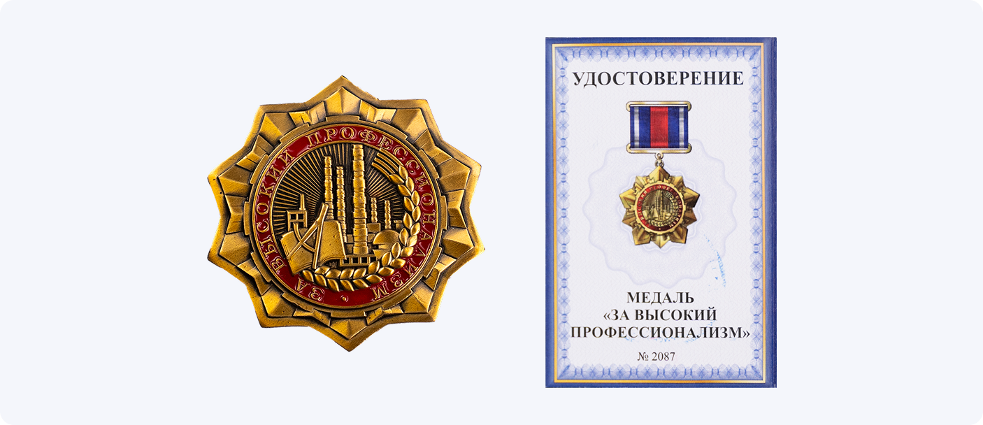 Награда «За высокий профессионализм»