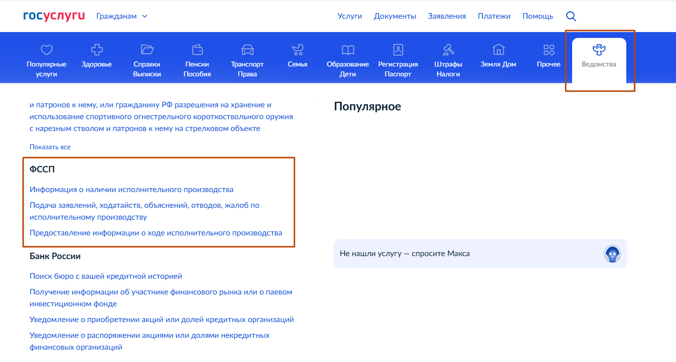 Госуслуги-ФССП1