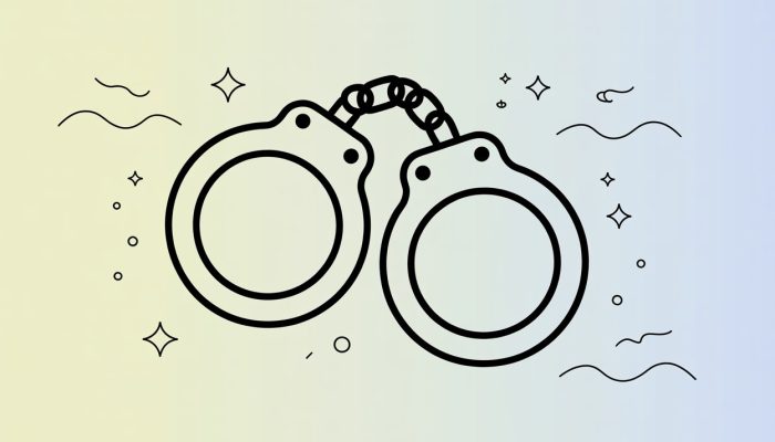 Могут ли посадить за долги по микрозаймам